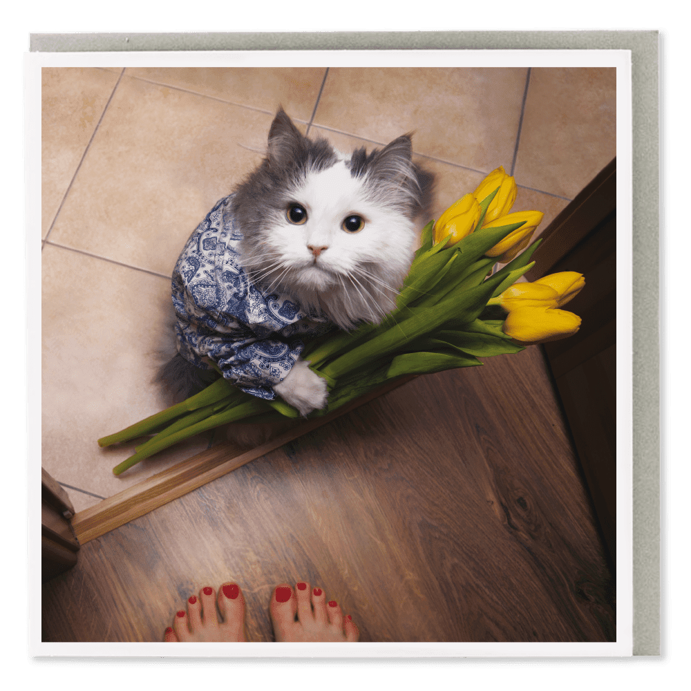 Tulip Cat Card
