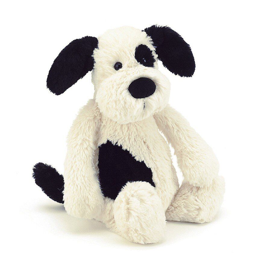 Rafferty Puppy