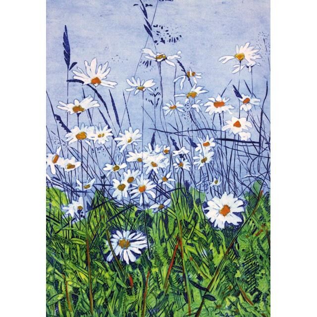 Ox Eye Daisies Card