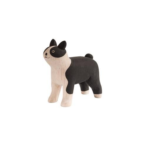 Boston Terrier