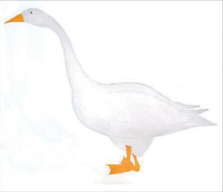 Goose Card