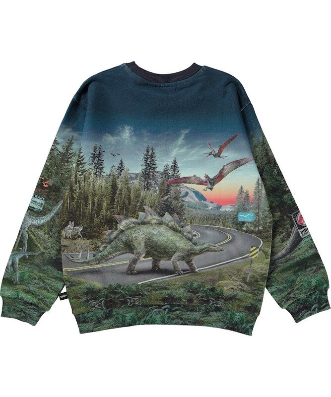 Miksi Sweatshirt