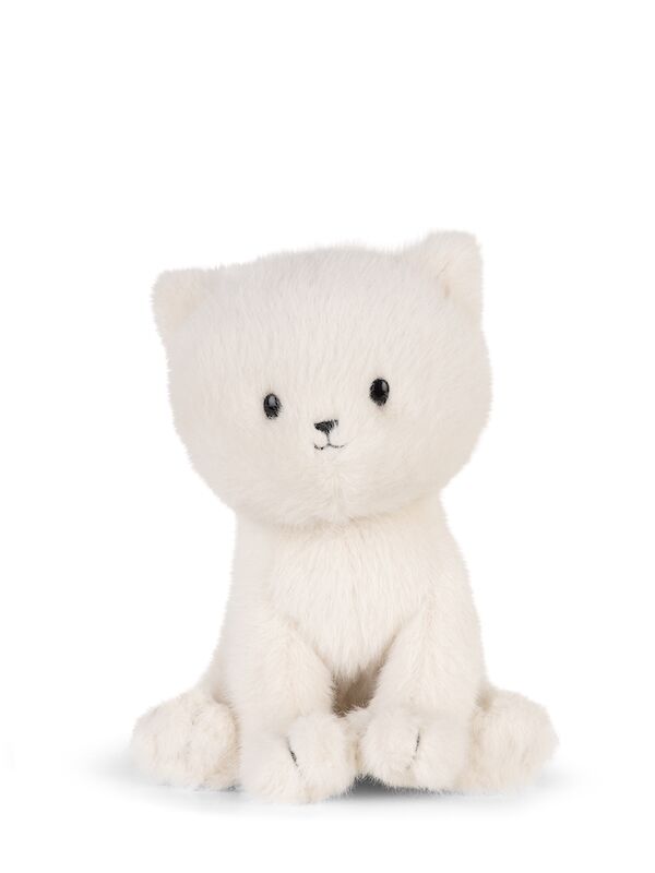 Dolly the Ragdoll Cat