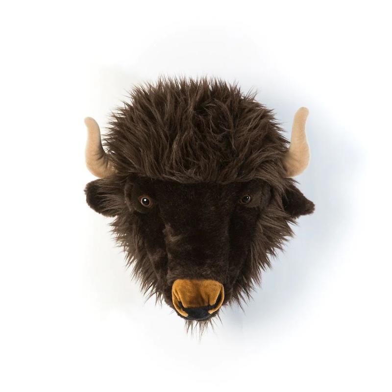 Alex the Buffalo