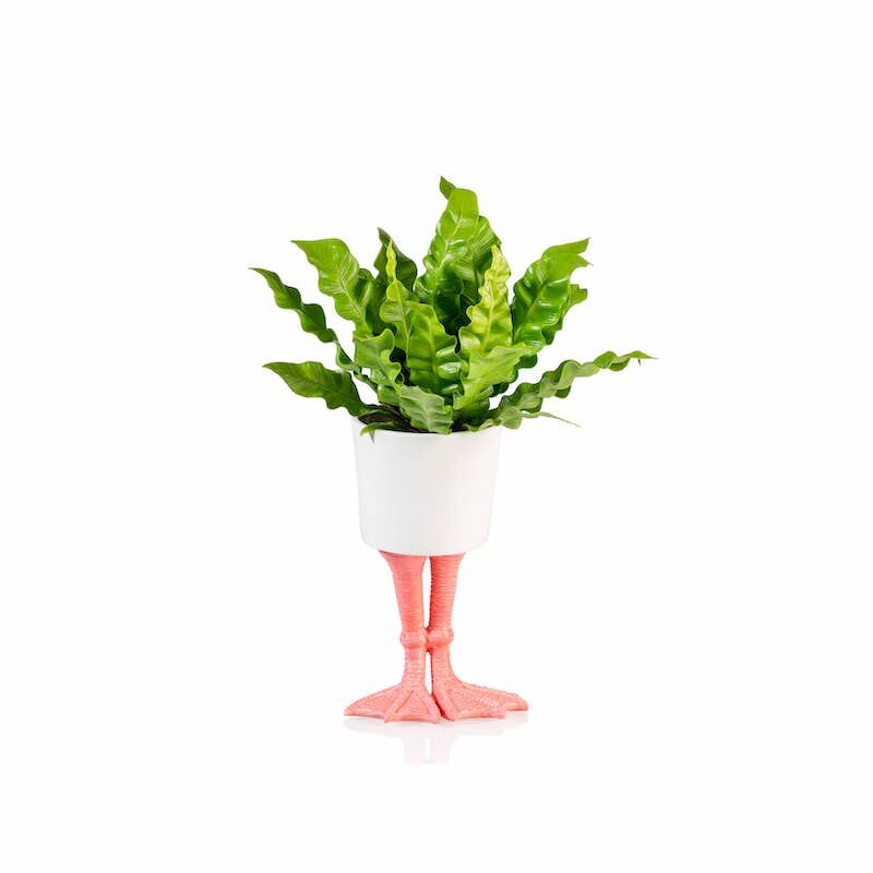 Large Flamingo Feet Planter